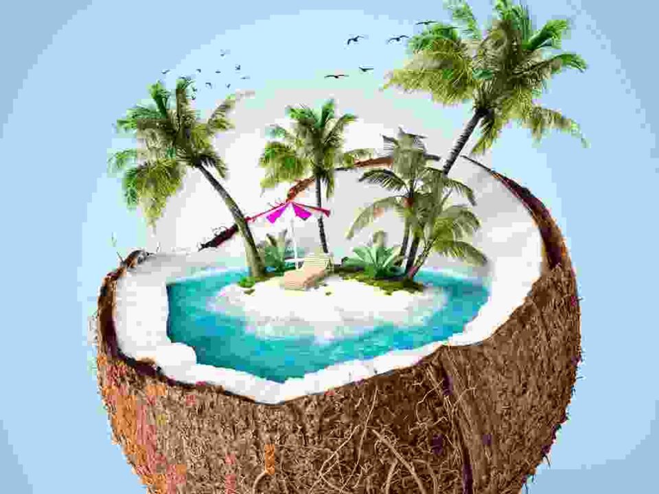 Donec placerat vehicula